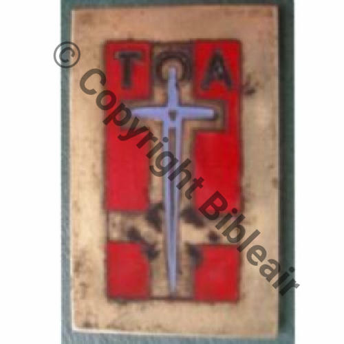 H0569 TROUPES OCCUPATION ALLEMAGNE avec TOA  H569... SM Bol tube Dos lisse SNH 3Eur Ebay04.06